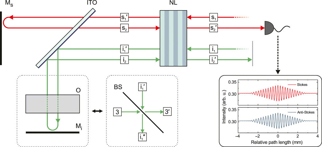 Scheme and nomenclature for the theoretical analysis. In addition to a laser pump (for simplification, not drawn here), the signal (s1) and idler (i1) input modes enter the nonlinear crystal (NL). The interaction in the crystal leads to the generation of signal and idler photons in the output modes s'1 and i'1, respectively. They are separated by an indium tin oxide (ITO)–coated glass. Afterward, the signal radiation and the pump beam are reflected back into the crystal by the mirror Ms. The input modes for the second passage are denoted by i2 and s2, which is, because of the alignment, equal to s'1. The idler mode i'1 passes through the object (O), is reflected by the mirror Mi, and propagates through the object again. This acts as a beam splitter (BS) with second input mode 3 and output modes i''1 and 3′. Aligning the idler beams, the mode i''1 corresponds to i2. The output modes after the second passage are s'2 and i''2. Last, the signal radiation (in mode s'2) is detected by the detector. The inset shows the simulated interference signal in the Stokes (red) and anti-Stokes (blue) regions based on the detailed model. Credit: Science Advances, doi: 10.1126/sciadv.aaz8065