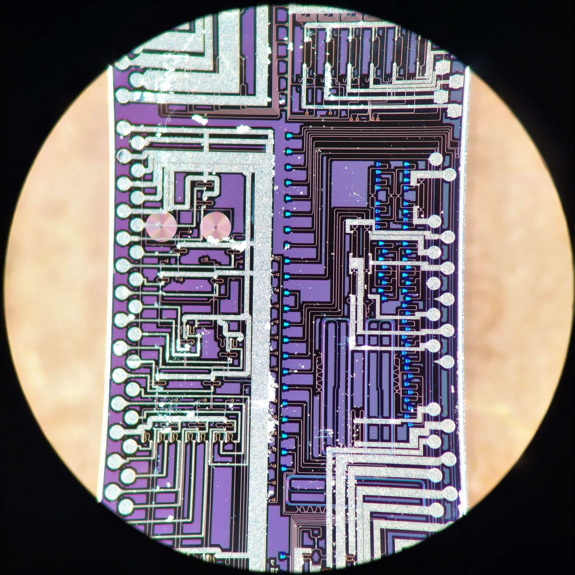 The silicon photonic chip used in this study to generate and interfere high-quality photons. Credit: University of Bristol