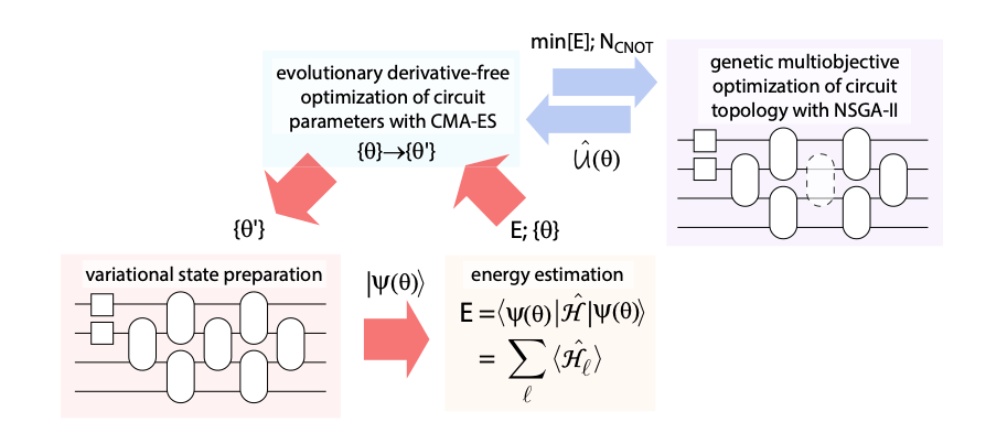 Multiobjective genetic VQE workflow