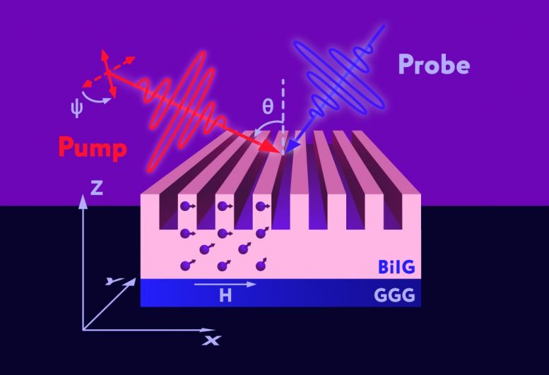 Schematic representation of spin wave excitation by optical pulses. The laser pump pulse generates magnons by locally disrupting the ordering of spins — shown as violet arrows — in bismuth iron garnet (BiIG). A probe pulse is then used to recover information about the excited magnons. GGG denotes gadolinium gallium garnet, which serves as the substrate. Credit: Alexander Chernov et al./Nano Letters