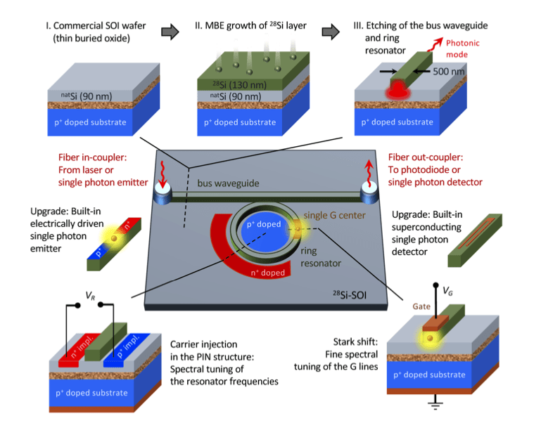 A cartoon of the scalable quantum architecture with a single G center in an isotopically purified 28Si-SOI photonic structure. Possible upgrades include built-in electrically driven single-photon emitters and superconducting single-photon detectors integrated on the same chip.