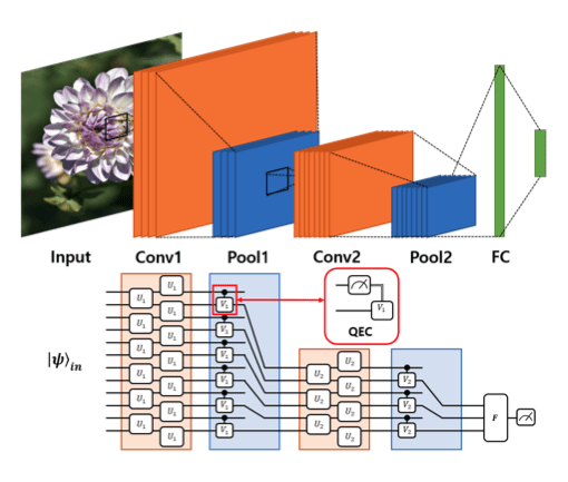 Simple example of CNN and QCNN. QCNN, like CNN, consists of a convolution layer that finds a new state and a pooling layer that reduces the size of the system.