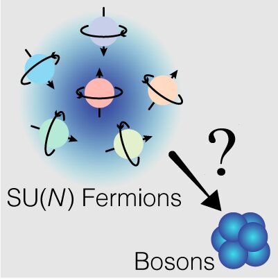 Fermions with different spins (indicated by arrows) behave like bosons in three dimensions when the number of spin components increases. Credit: HKUST