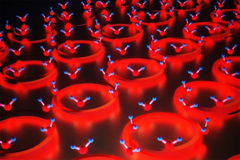 Annular holes in a thin gold film filled with silicon dioxide enable ultrastrong coupling between light and atomic vibrations. This structure provides opportunities to probe molecules interacting with quantum vacuum fluctuations and develop novel optoelectronic devices. Credit: Oh Group, University of Minnesota