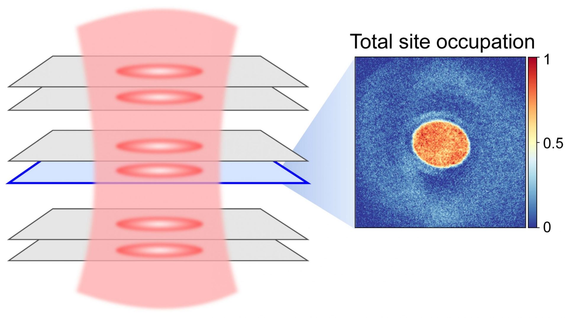 The system: A crystal lattice made of light traps atoms in several bilayer sheets. Tomographic images show the (spin-) densities in a single layer. They provide information about the magnetic ordering of the atoms. The image on the right shows the density of one layer averaged over twelve realizations (orange red). Credit: © Marcell Gall, Nicola Wurz et al./ Nature